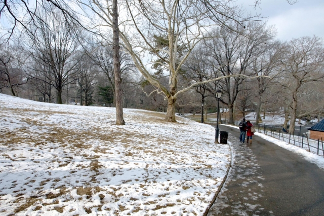 ��������� ����������, ����� ����� ������ ������ � �������� ���� 