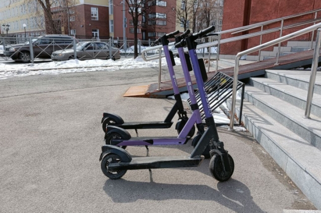 � �������� ���� �������� ���������������