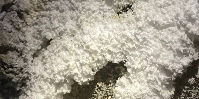 � ���������� ������� ������ ���������� ������ ������� 