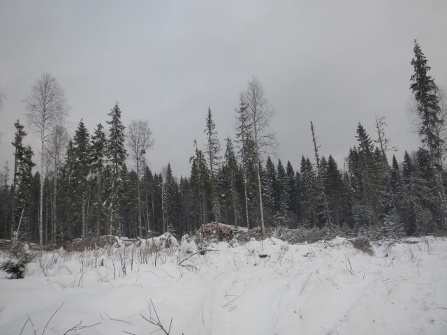 � ������� � �������� ���� ��������� ����������