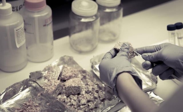 � �������� ���� ������� ������������� ���������������� 